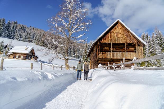 Abseits der Piste_Winterwandern_Bad Kleinkirchheim_Winter © Mathias Prägant_MBN Tourismus (5)